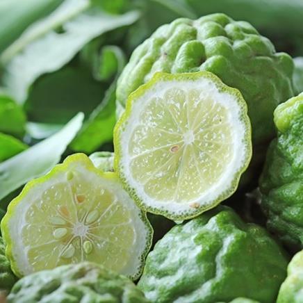 bergamote Bergamote